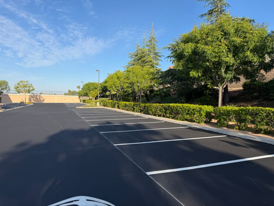 Freshly paved commercial lot with crisp white stall striping
